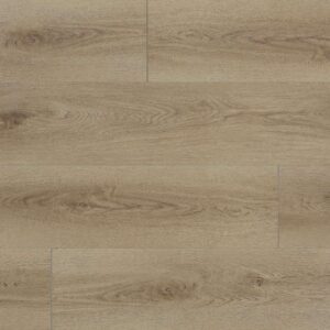 Destinations Plus Barbados