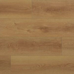 Destinations Plus Dubai