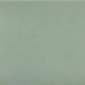 Cc Cosmos - Sage Green - 3″X12″