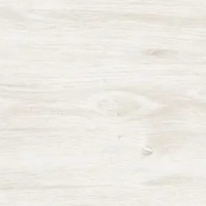 Everglade - Silver Gray