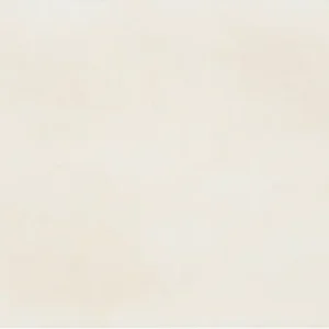 Maiolica - Biscuit Crackled - 4"X10"