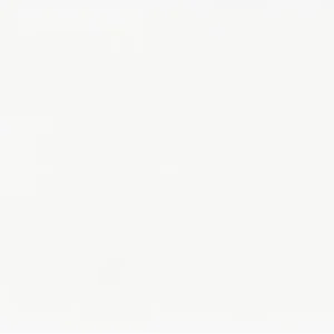 Maiolica - White Crackled - 4"X10"