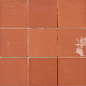 St. Topez - Coral 
5"X5" & 2.5"X5"