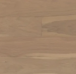 Adelaide St. Vincent