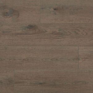 Destinations Plus Sydney